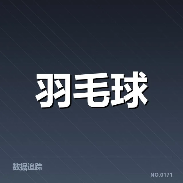 女双战术配合解读：幕后布局与胜负关键所在