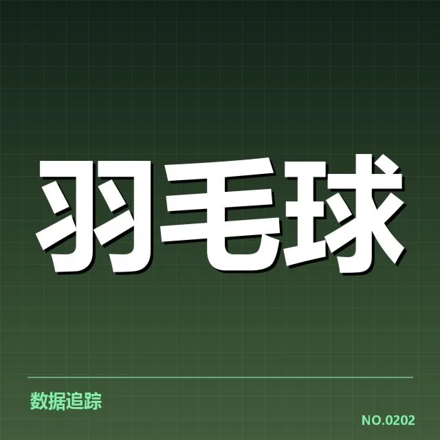 目前确认的女双战术配合核心队伍